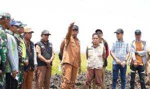 Kemarau Panjang, Bupati Sidrap Selamatan Ratusan Hektare Sawah Lewat Pompanisasi Danau Sidenreng Kemarau Panjang, Bupati Sidrap Selamatan Ratusan Hektare Sawah Lewat Pompanisasi Danau Sidenreng