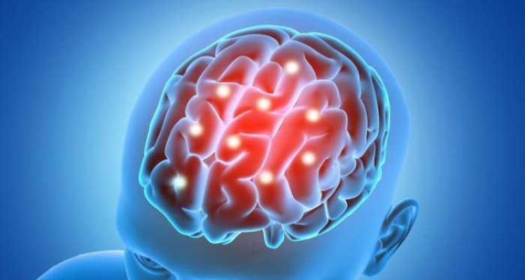 Ahli Saraf Ungkap 6 Kebiasaan Sehari-hari yang Bisa Rusak Otak, Nomor 6 Hampir Semua Orang Melakukannya Saat Ini