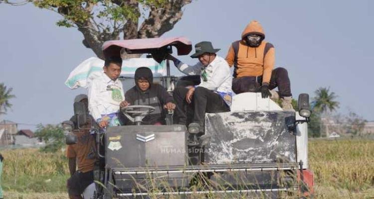 Masih Duduk di Bangku SD, Fadil Buktikan Generasi Muda Bisa Jadi Petani Modern