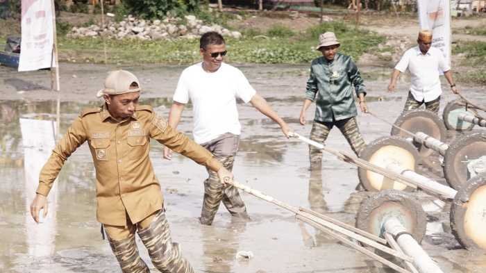 Berpakaian Dinas Lengkap, Bupati Sidrap Berkubang Lumpur Ikut Tanam Padi 