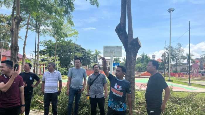 Warga Senang Bupati Sidrap Bersihkan Taman Usman Isa yang Lama Terbengkalai 