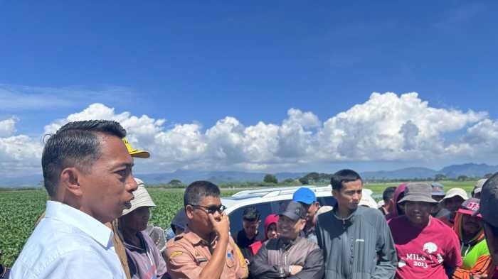 Bupati Sidrap Langsung ke Lapangan Cek Sawah Petani yang Terendam