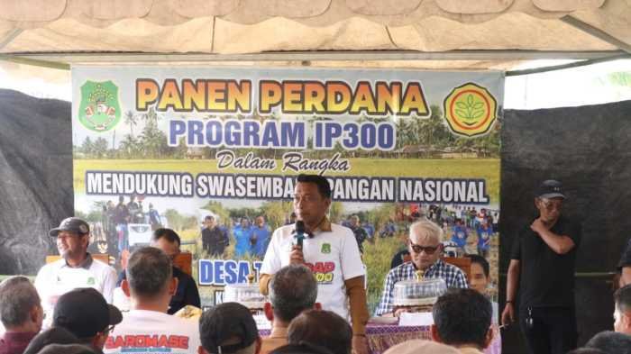 Desa Takkalasi Sukses Panen IP 300, Bupati Sidrap: Bukti Kerja Keras Bersama