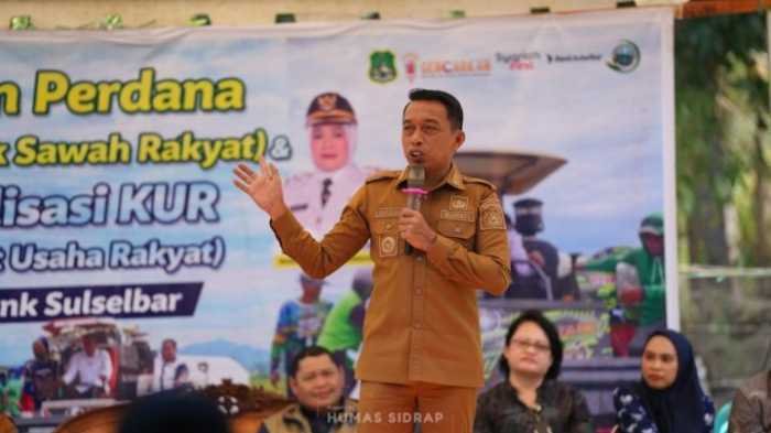 Bupati Sidrap Dorong Integrasi Pertanian dan Peternakan untuk Tingkatkan Ekonomi Rakyat