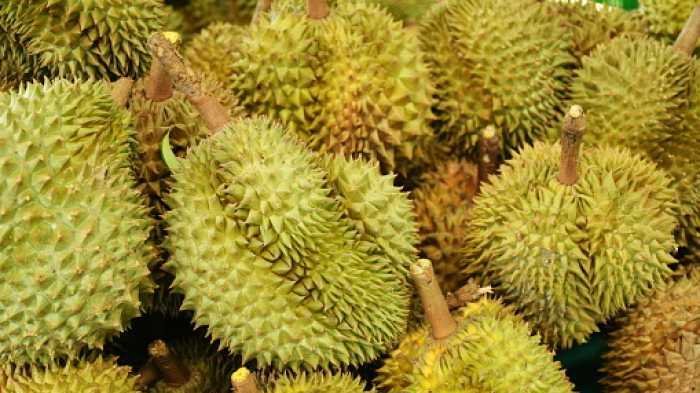 China Beli Durian Indonesia Rp137 Triliun, Ini Rahasianya