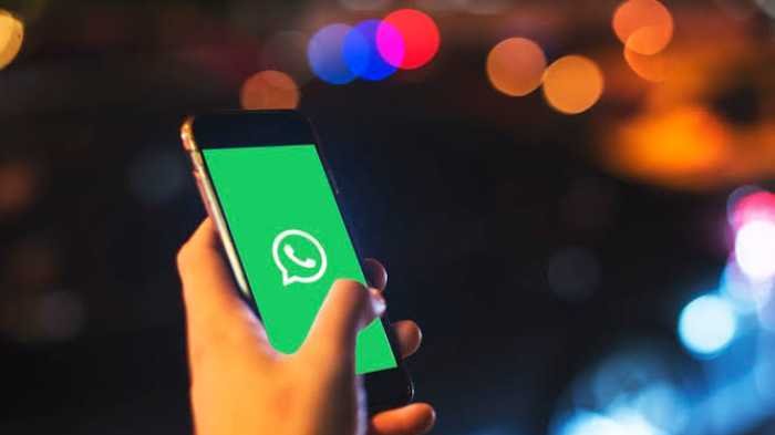 Jika Akun WhatsApp Dibajak, Jangan Panik, Ada 6 Cara Memulihkan