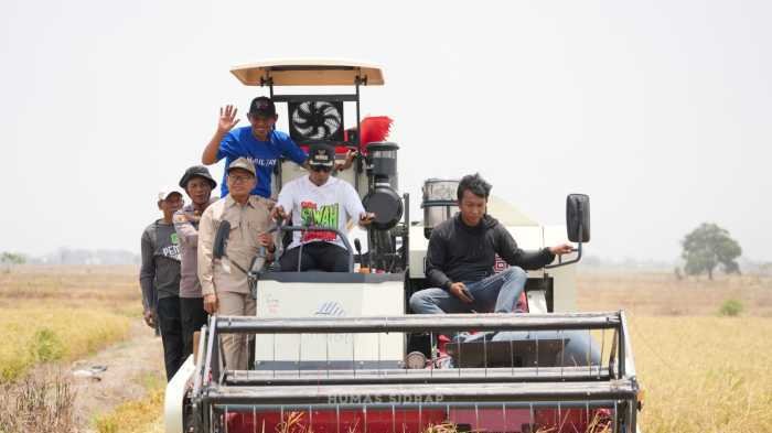 Sumur Bor Hadir, Sawah Tadah Hujan di Bapangi Tetap Produktif di Musim Kemarau